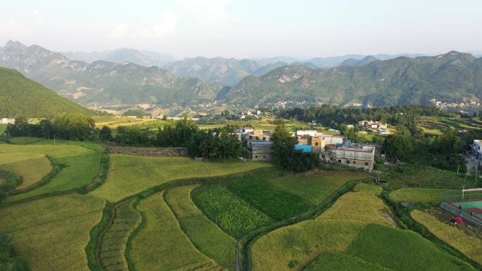 梯田航拍云贵高原