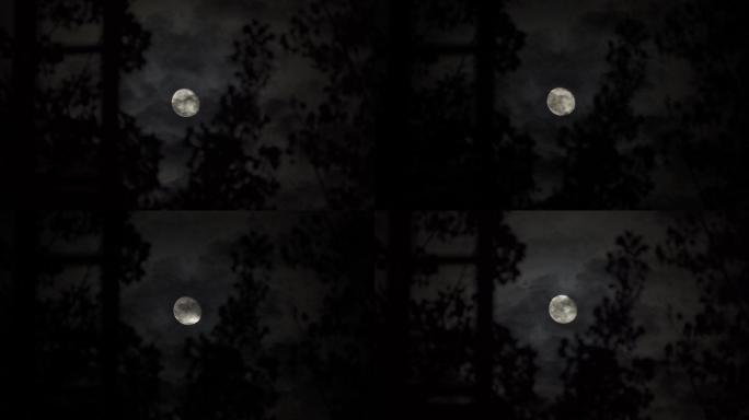 树缝中月亮升起丨4K丨原创实拍