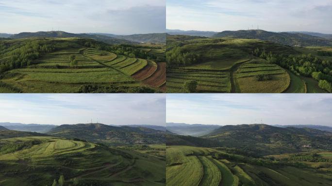 原创航拍绿色种植山林高山草地2.7K高清