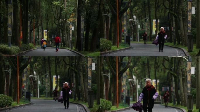 一组公园散步人文空镜头