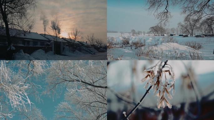 东北农村雪景炊烟老黄牛