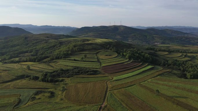 原创航拍绿色种植山林高山草地2.7K高清