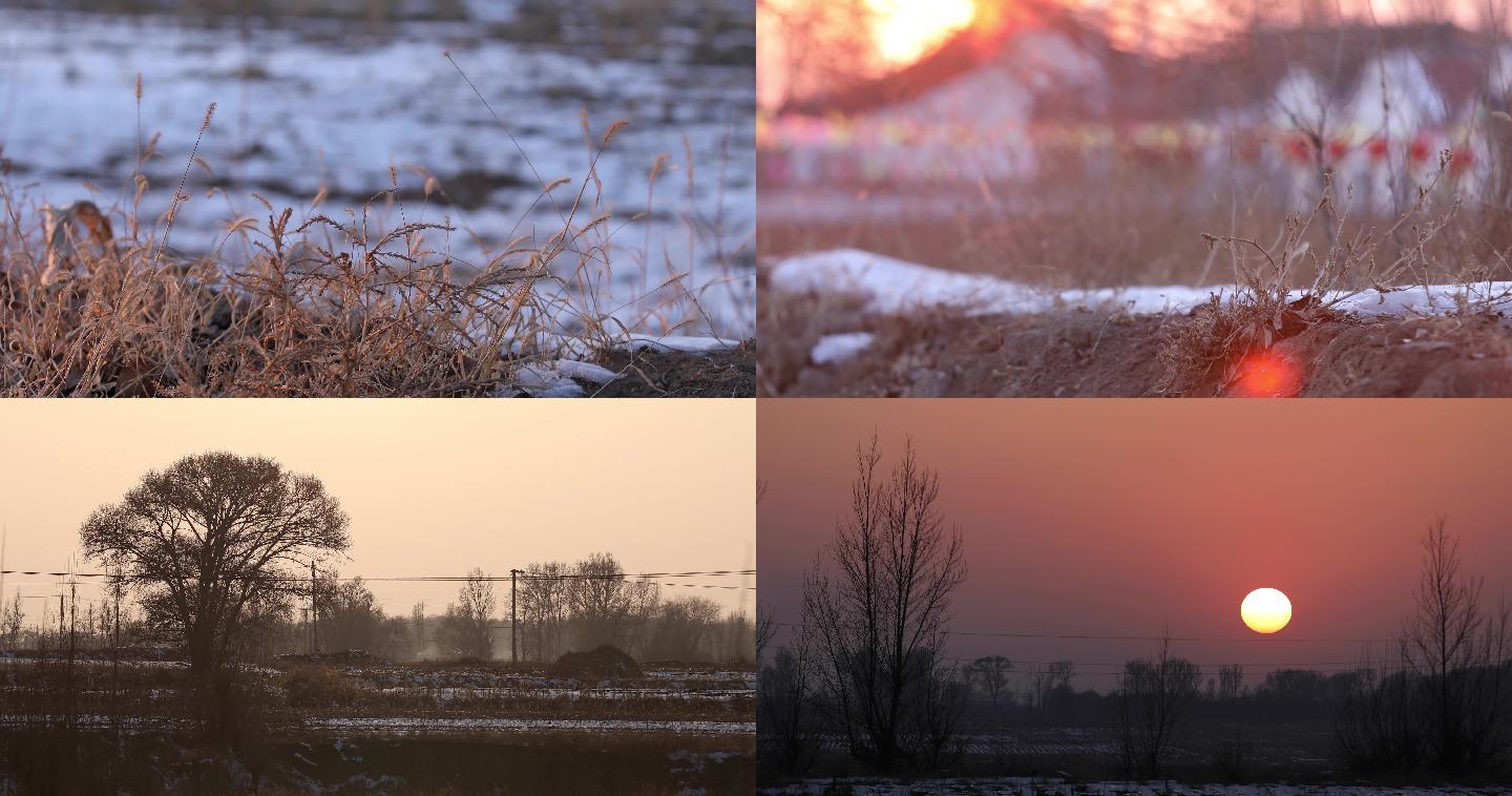冬天，枯草，北方农村，房子，夕阳雪地落日