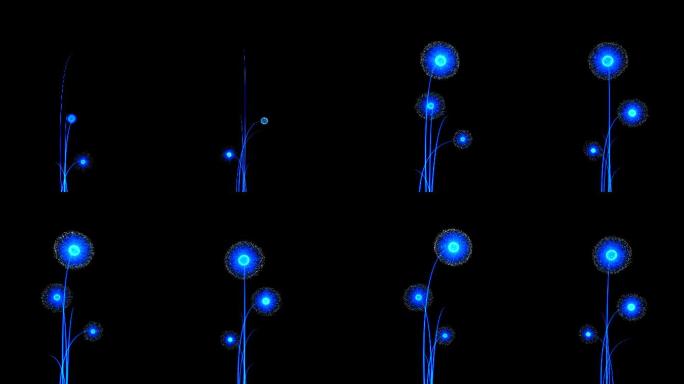 4K数字化粒子蒲公英科技