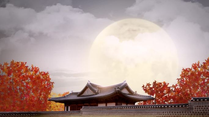 月亮枫树