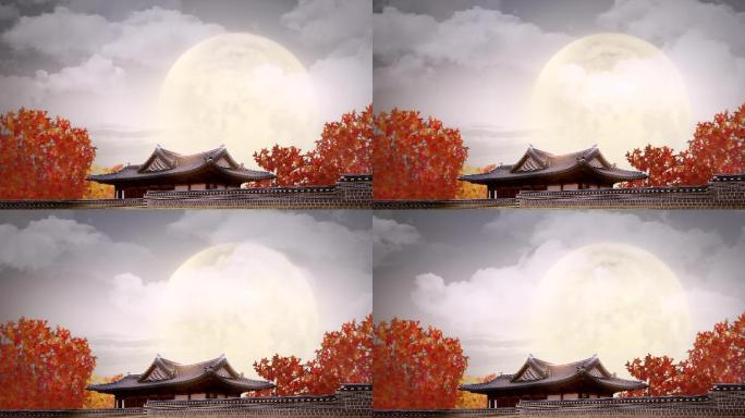 月亮枫树