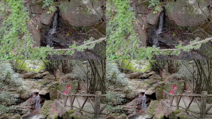 【4K60帧】实拍竹林小溪空镜
