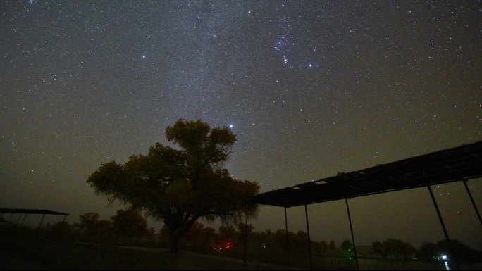 沙漠胡杨星空延时素材5