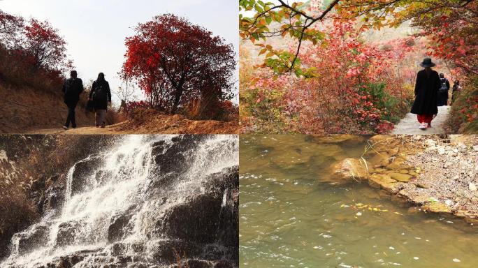 4K秋景红叶秋天杏叶山泉瀑布溪流山路写实