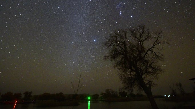 沙漠胡杨星空延时素材3