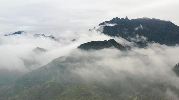 秦岭云海