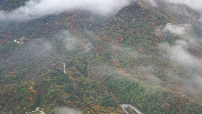 秦岭黄叶深秋秦岭北麓分水岭