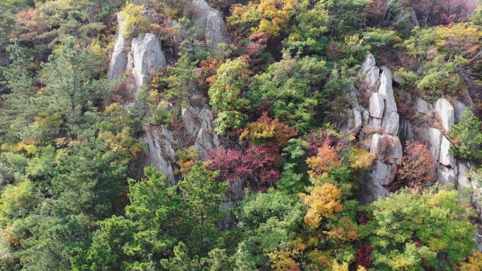 青岛崂山北九水秋季风光航拍