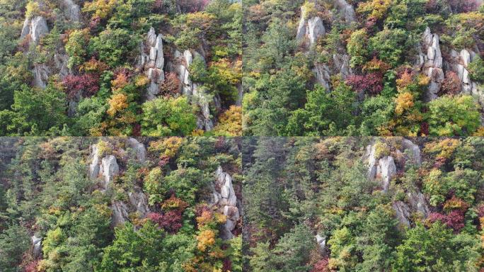 青岛崂山北九水秋季风光航拍