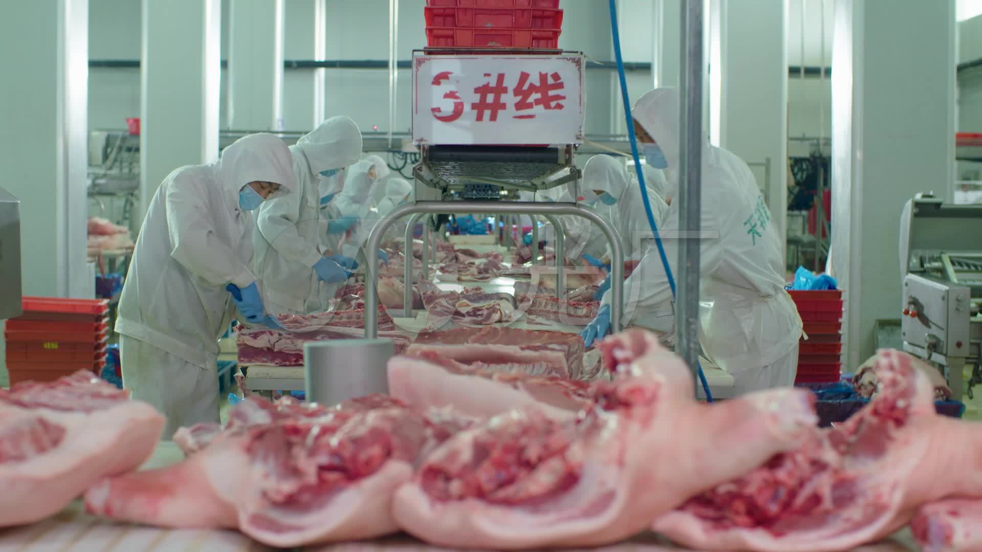 321家屠企每年宰猪3887万头！广东屠宰业迎来大变革