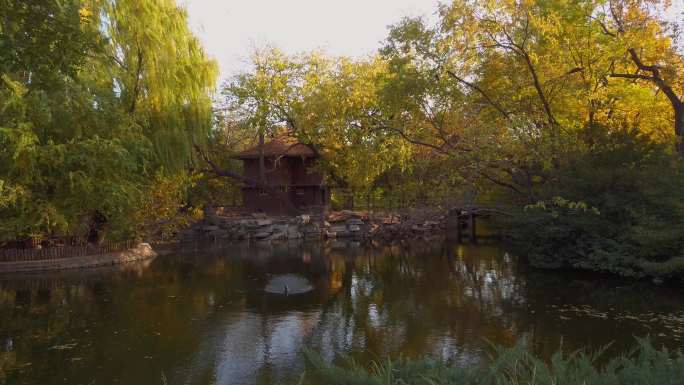 北京动物园的秋景