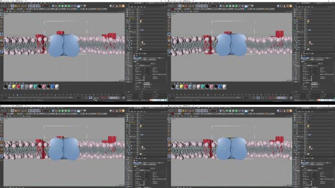 C4D蛋白质场景动画