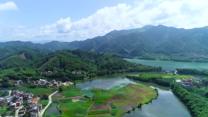 绿水青山十万大山生态发展环保