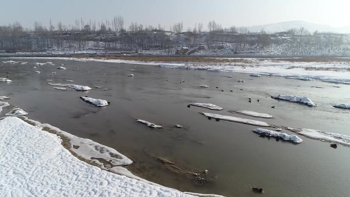 白雪茫茫村庄河流鸭子实景航拍素材