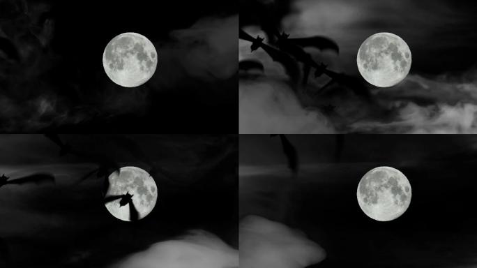 月光下飞舞的蝙蝠