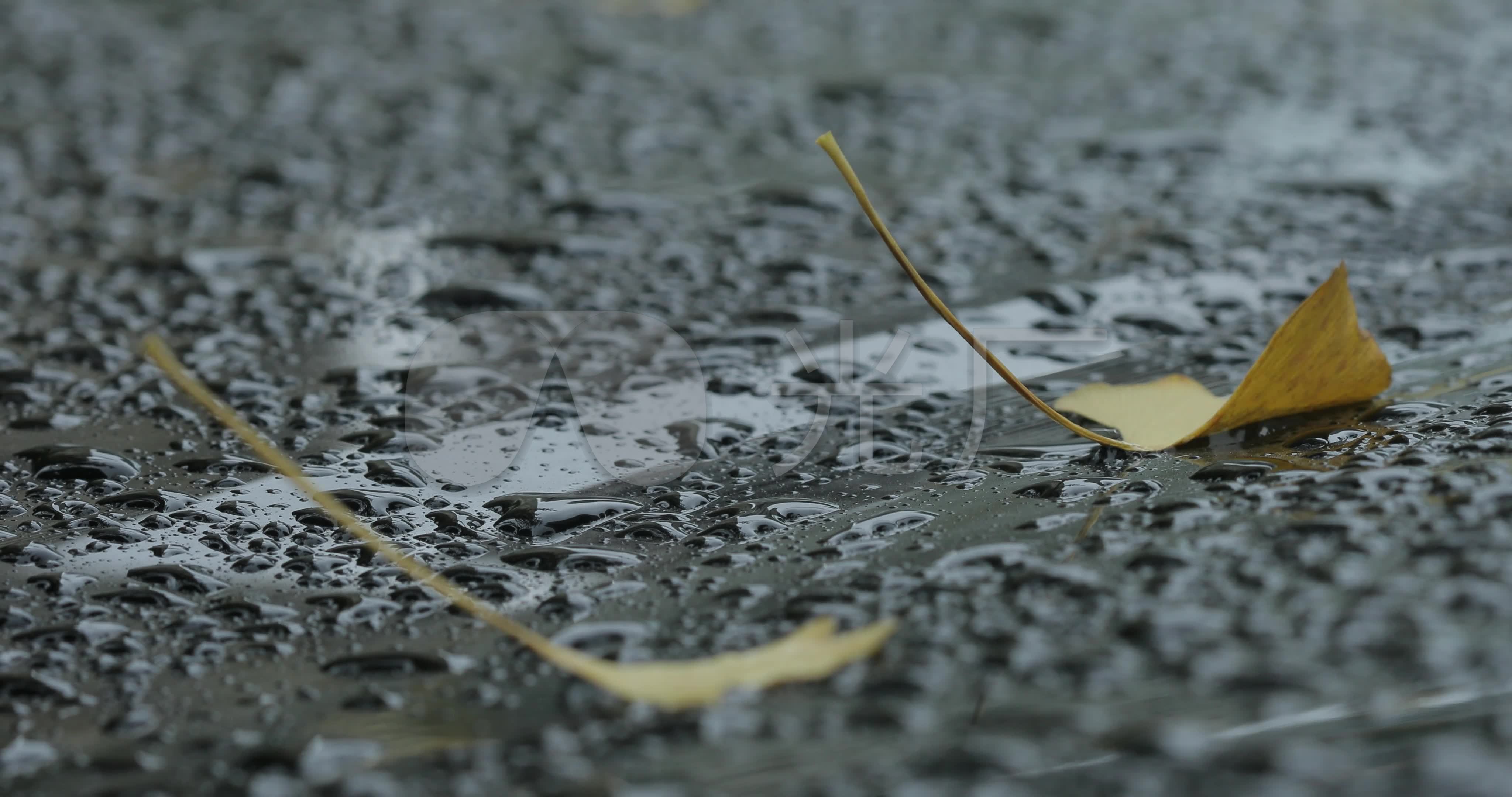 秋雨.路高清图片下载-正版图片500140752-摄图网