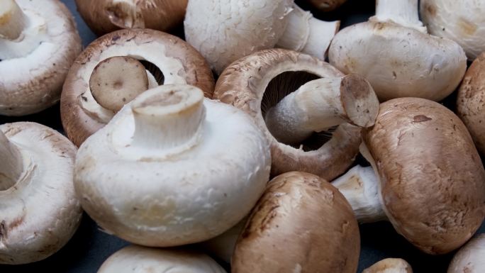 蘑菇菌类蔬菜绿色有机蔬菜食材料理烹饪