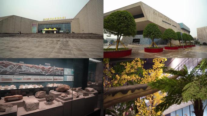 4K湖南地质博物馆