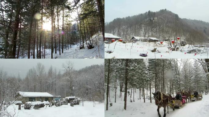 雪中山林村庄马拉雪撬