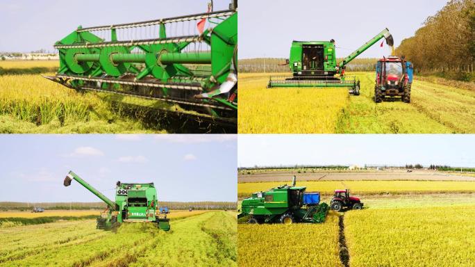 【4K】农场收割水稻（最新）