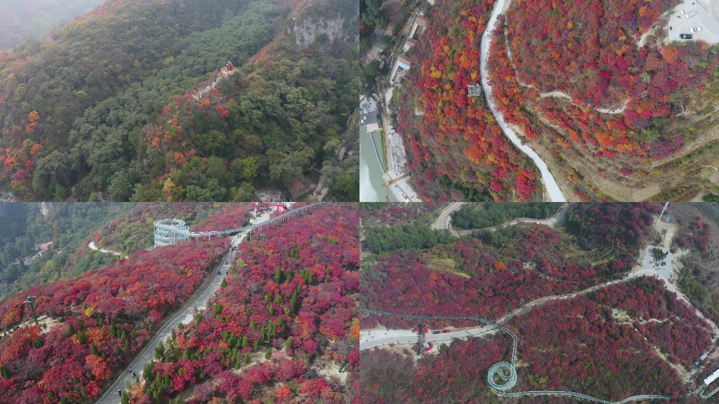 秋季红叶山景