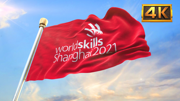【4K】上海2021年世界技能大赛