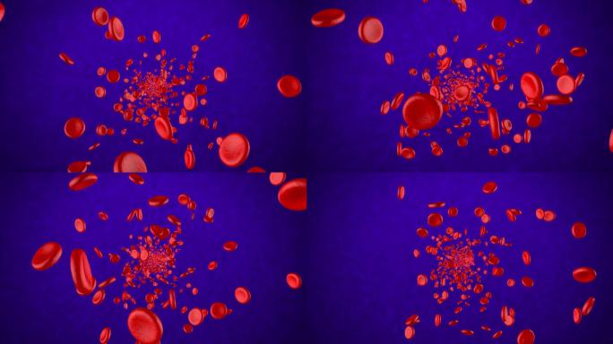 血红细胞血液血管穿梭