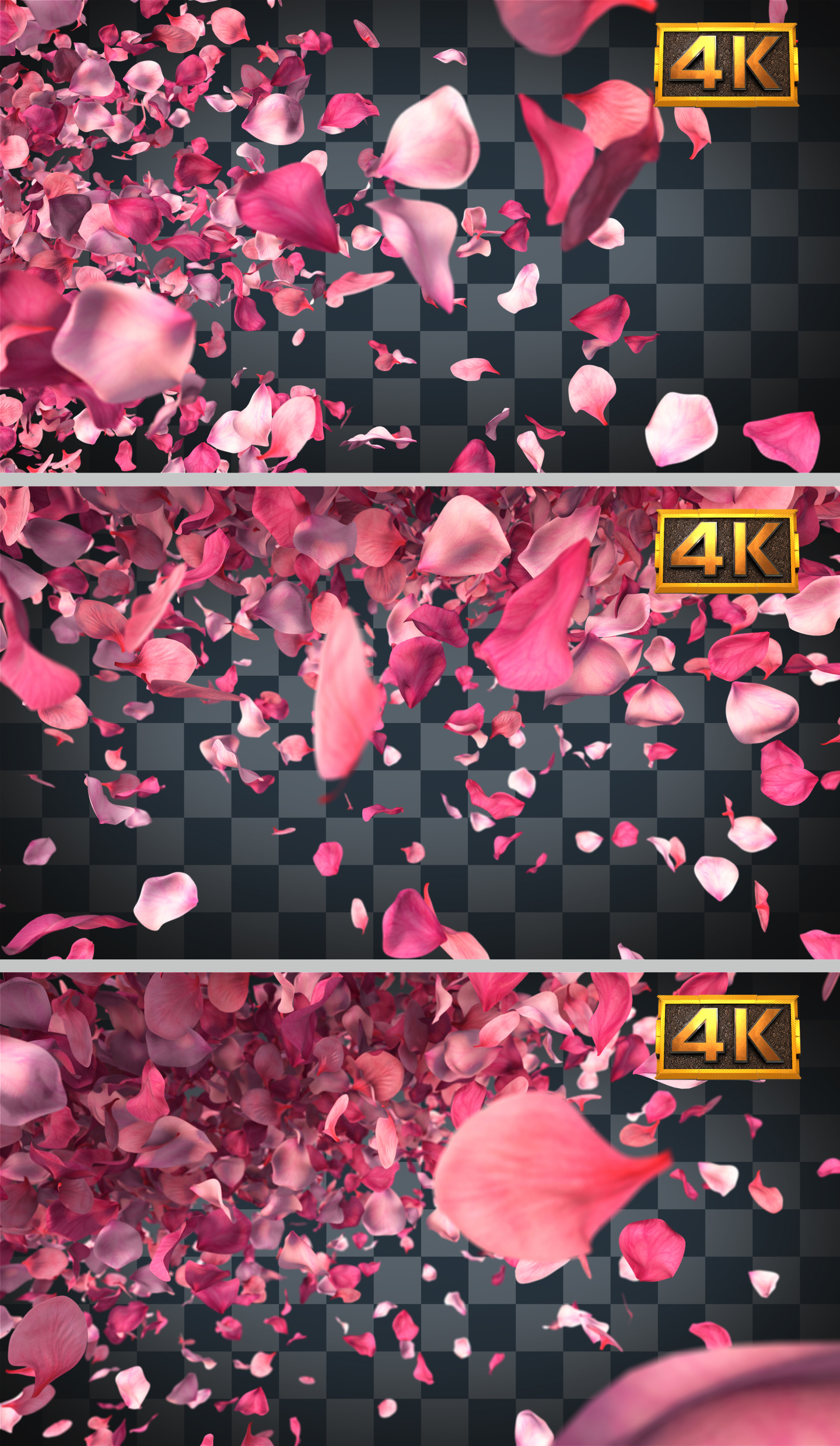 【4K】3组花瓣转场
