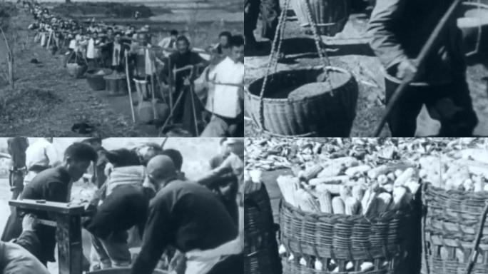 50年代根据地粮食运输