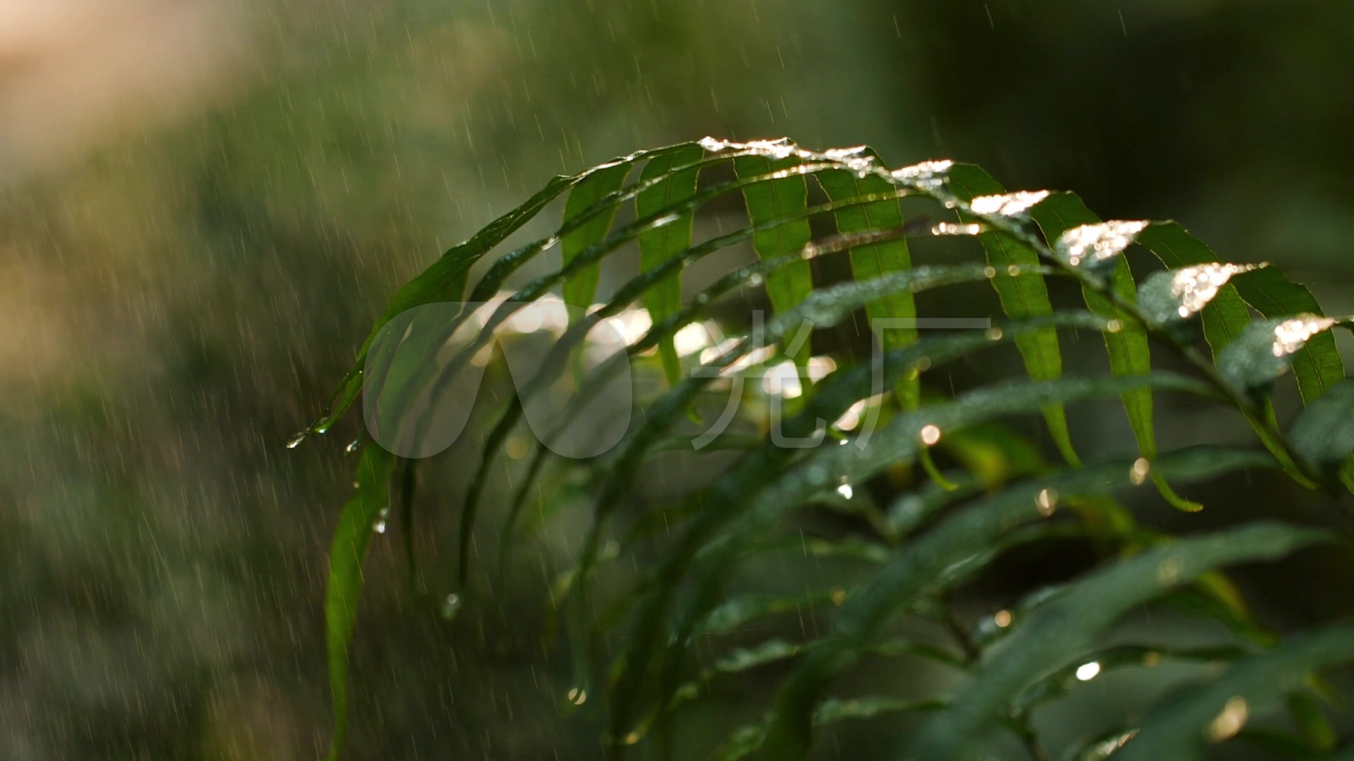 春天绿色小清新下雨治愈景色插画图片-千库网