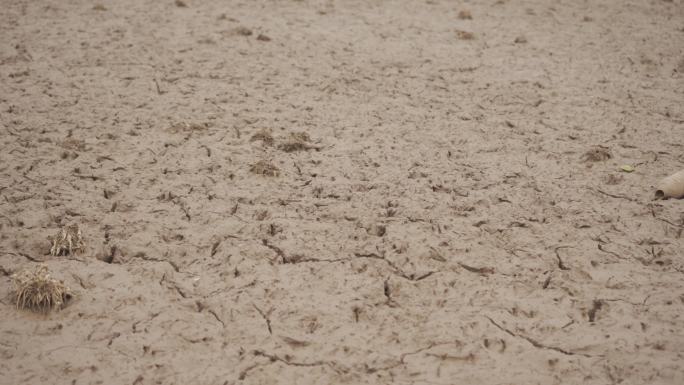 干涸的水田丨HLG丨4K丨原创实拍