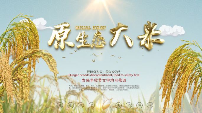 【无插件版】农民丰收节水稻大米AE模板