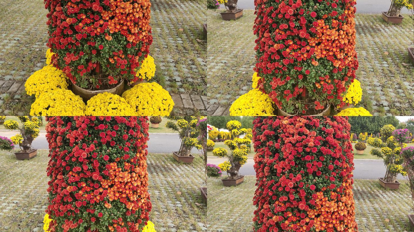 4K菊花雕塑实拍视频素材