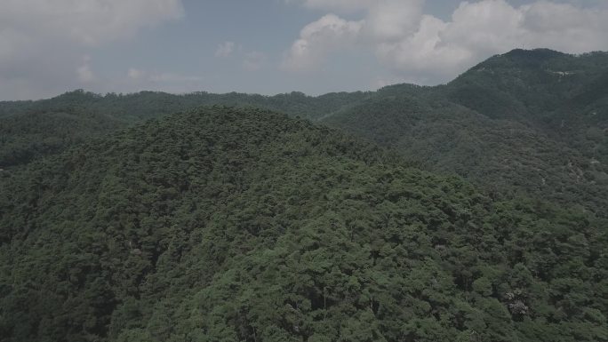 飞跃青山航拍4k-log