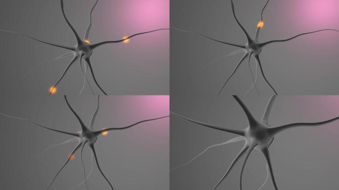 4K神经细胞神经传导3D动画