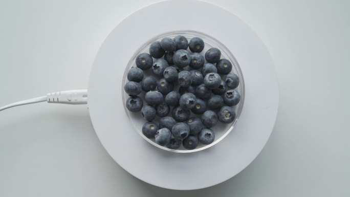 蓝莓莓果欧洲越桔越橘水果