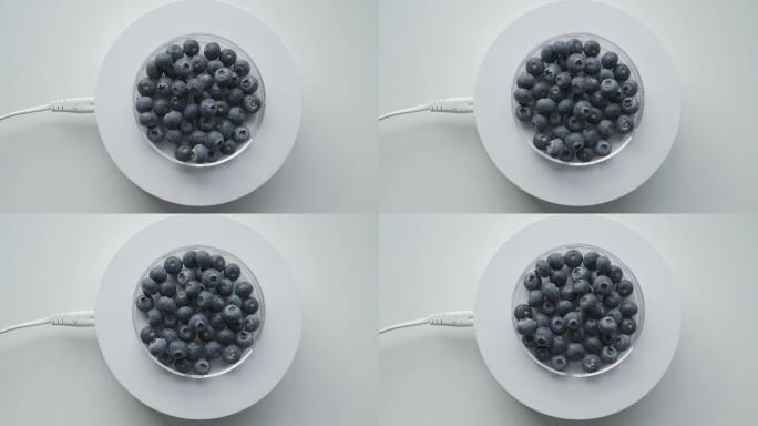 蓝莓莓果欧洲越桔越橘水果