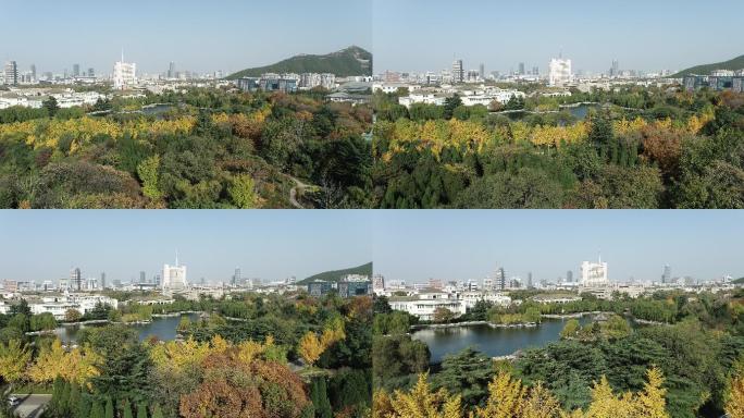 济南的秋天城市大景航拍素材4k