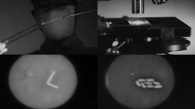 上世纪医科大学微生物实验室