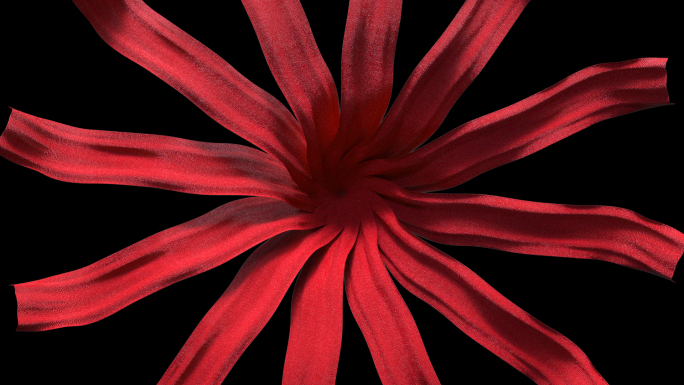 红绸子动画（带透明通道）