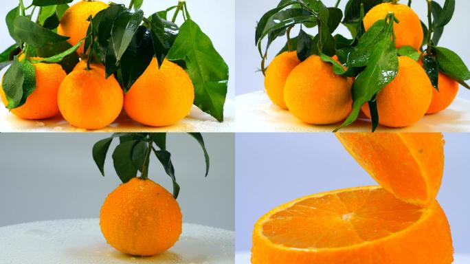 水果爱媛橙子2