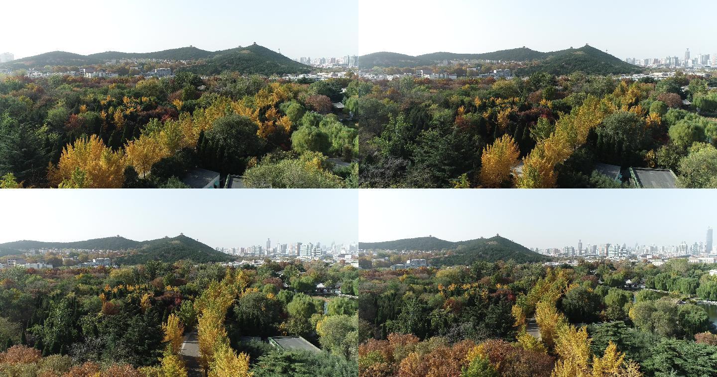 济南的秋天城市大景航拍素材4k