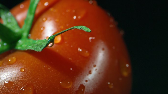 4K番茄西红柿果蔬新鲜水滴