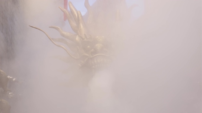 4K水雾中的龙