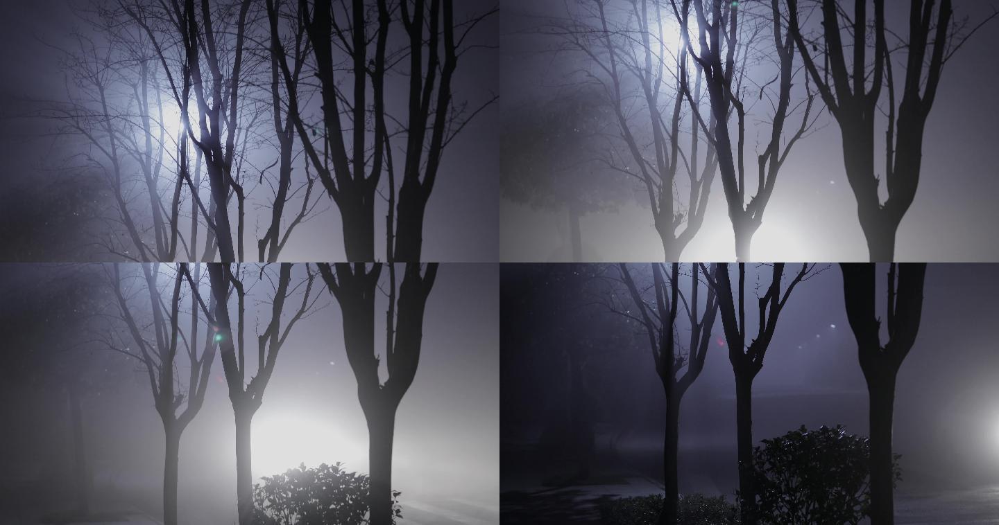 4K夜晚大雾下的枯树车灯光影